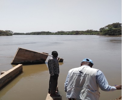 Figure 1.3: A: irrigation water inlet