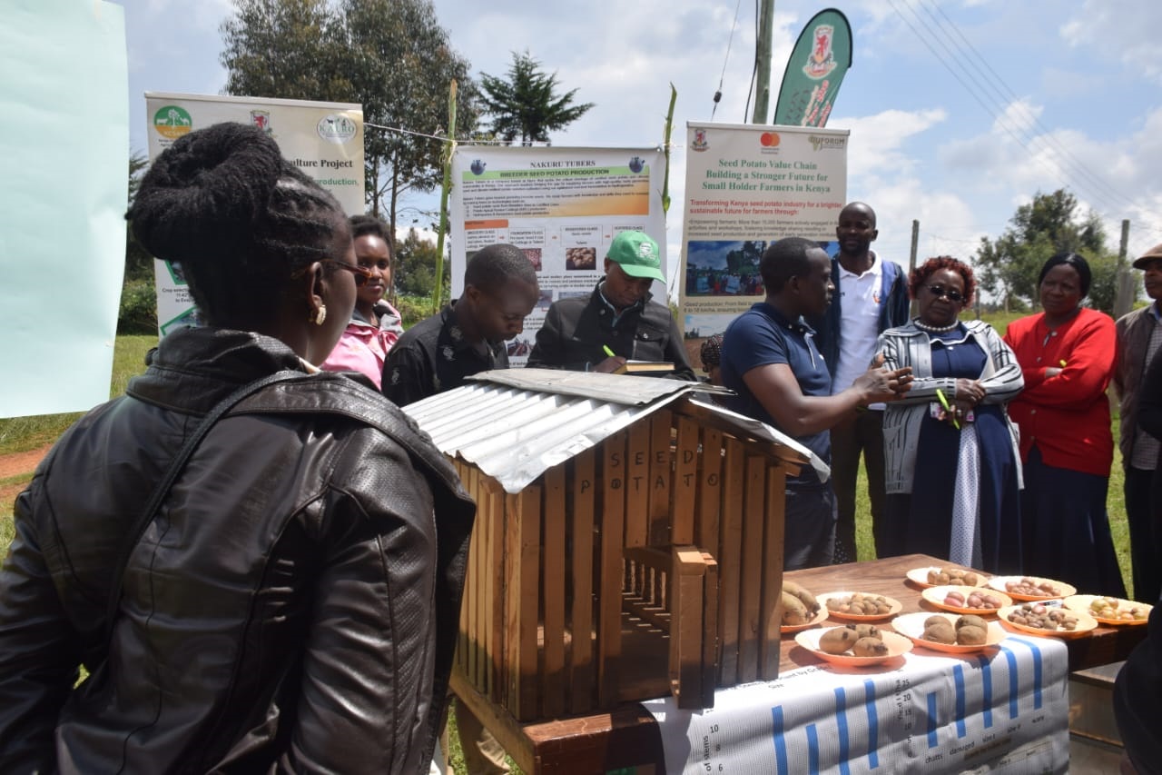 Optimizing Seed Potato Production And Promoting Best Agricultural Practices