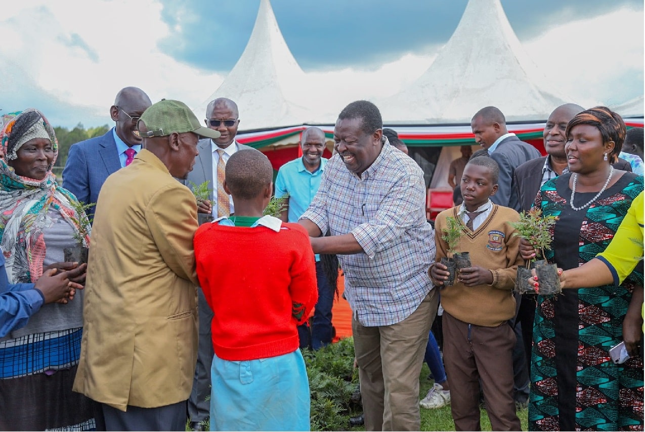 &quot;Kenya's Ambitious Tree Planting Initiative: The 15 Billion Savior!&quot;