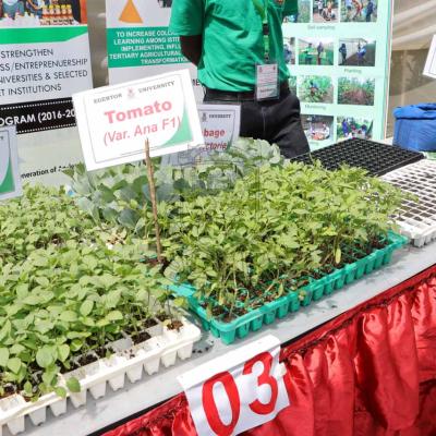 Nakuru Agricultural Show 2022 12