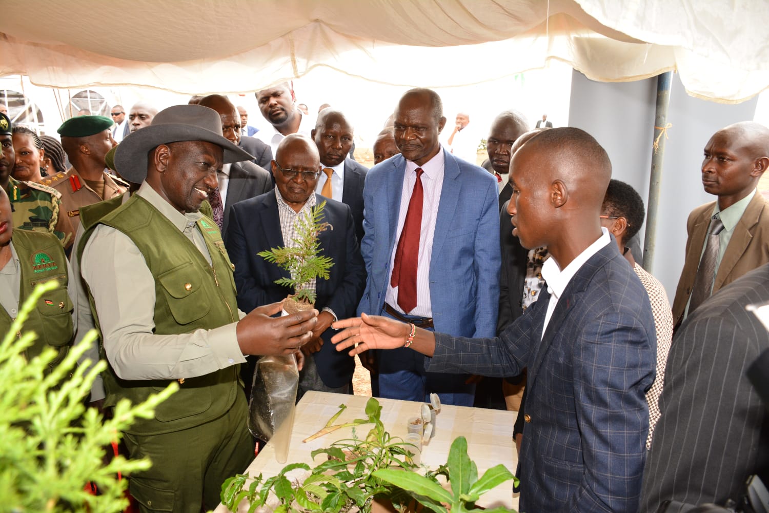 Planting trees Initiative